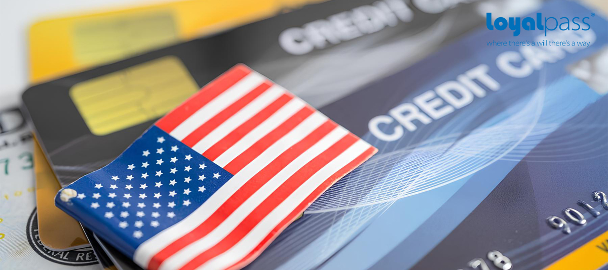 Cách Trồng Hoa Lan Hồ Điệp Tại Nhà Đạt Tỷ Lệ Ra Hoa Quanh Năm