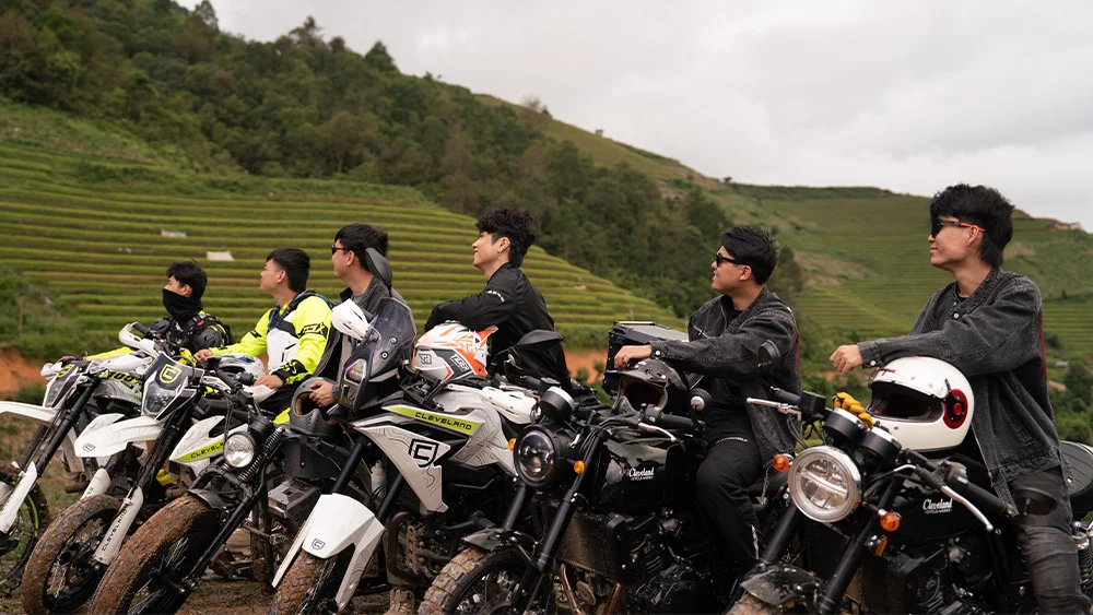 Hướng Dẫn Chi Tiết Cách Trồng Lan Rừng Khi Mới Mua Về Đạt Hiệu Quả Tối Đa