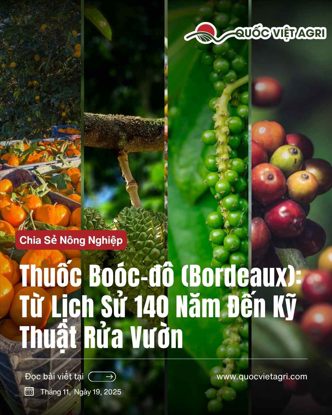 Hướng Dẫn Kỹ Thuật Trồng Chanh Dây Chuyên Nghiệp Từ A Đến Z