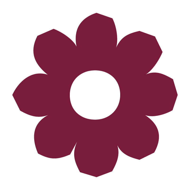 Hướng Dẫn Chi Tiết Cách Trồng Củ Huệ Mưa Cho Hoa Nở Rực Rỡ