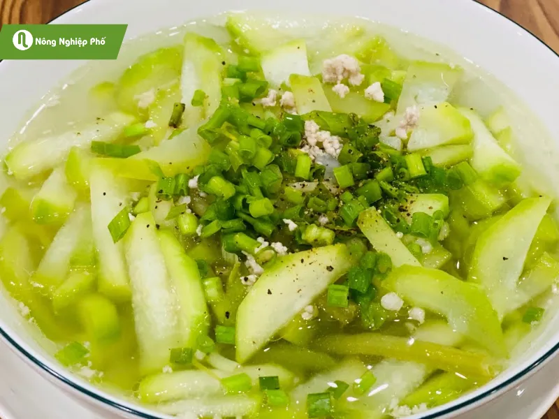 Cách Trồng Bí Đao Tại Nhà Đạt Năng Suất Cao Cho Vườn Rau Hữu Cơ