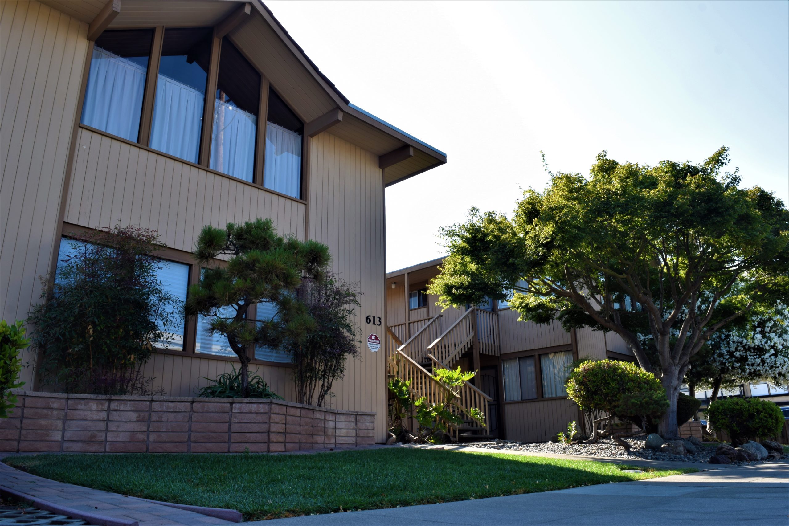 Cách Trồng Cây Thủy Sinh Trong Bể Cá Cảnh: Hướng Dẫn Kiến Tạo Hệ Sinh Thái Bền Vững