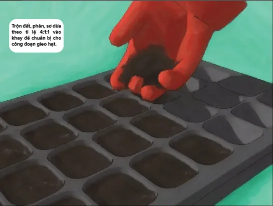 Chuẩn bị giá thể bằng cách trộn đất, phân và xơ dừa vào khay trồng