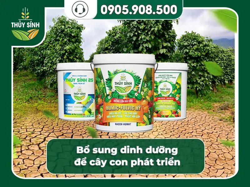 Sử dụng sản phẩm Thủy Sính để bổ sung dinh dưỡng