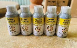 Bón phân hữu cơ cho khoai môn