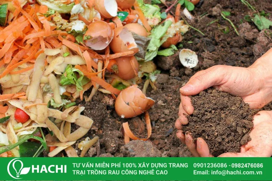 Sử dụng phân hữu cơ là cách cải tạo đất sét để trồng rau đơn giản và hiệu quả