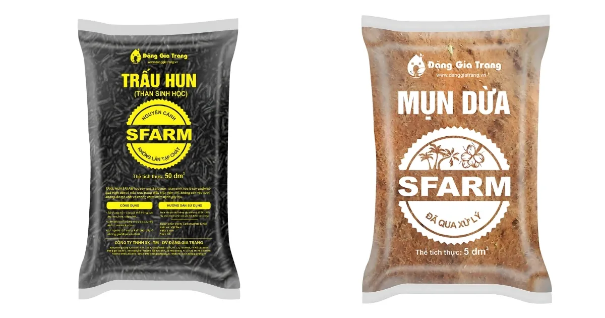 Trộn trấu hun, mụn dừa và perlite là công thức cốt lõi để tạo giá thể trồng cây lưỡi hổ thoát nước