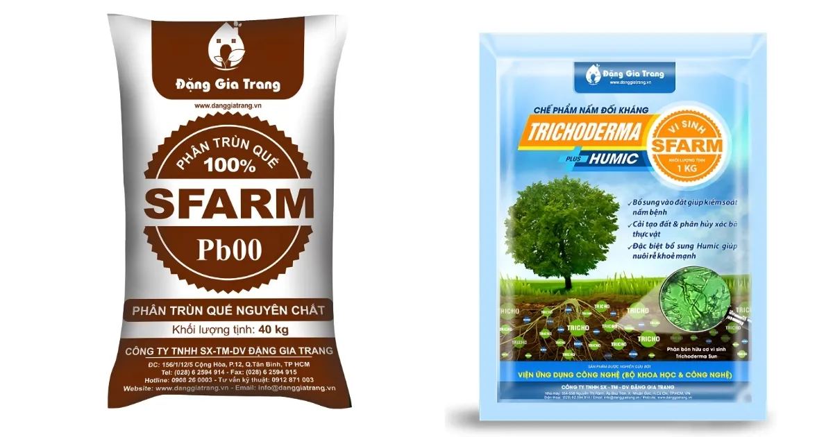 Tái chế đất cũ bằng cách bổ sung phân trùn quế và nấm đối kháng Trichoderma để ức chế mầm bệnh