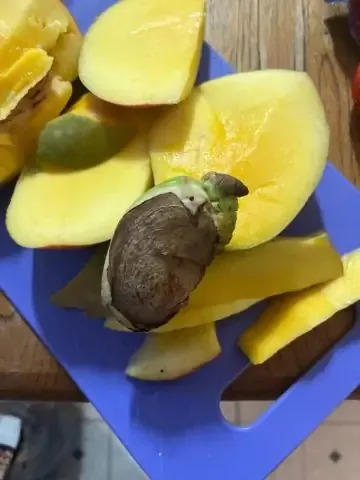 Đặc Điểm Nhận Dạng Hạt Mít Chất Lượng Cao Để Gieo Trồng