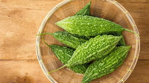 Kỹ Thuật Trồng Và Chăm Sóc Cây Khổ Qua Cho Năng Suất Cao