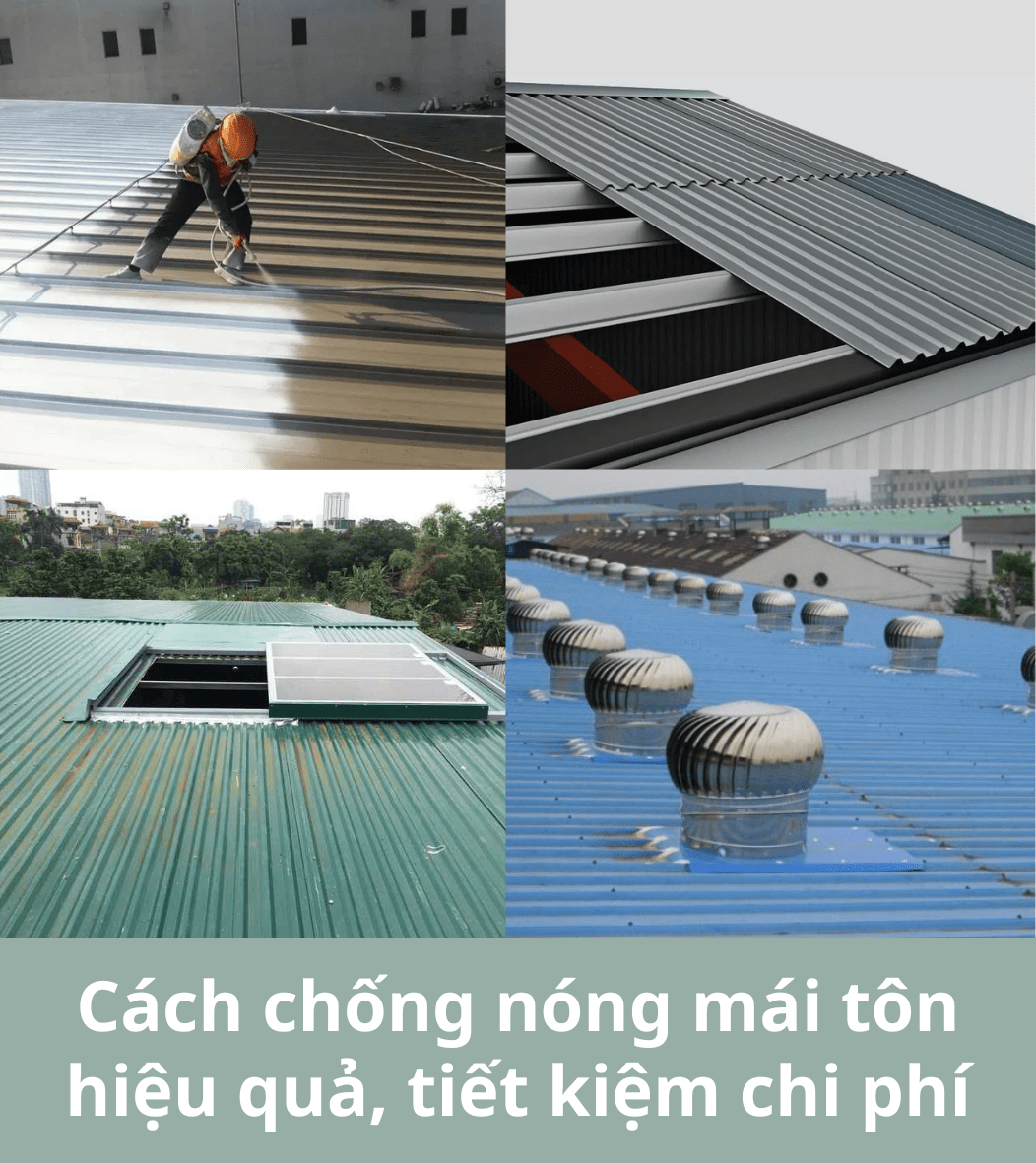 Cách Trồng Cây Trên Mái Tôn An Toàn, Chống Nóng Hiệu Quả Nhất