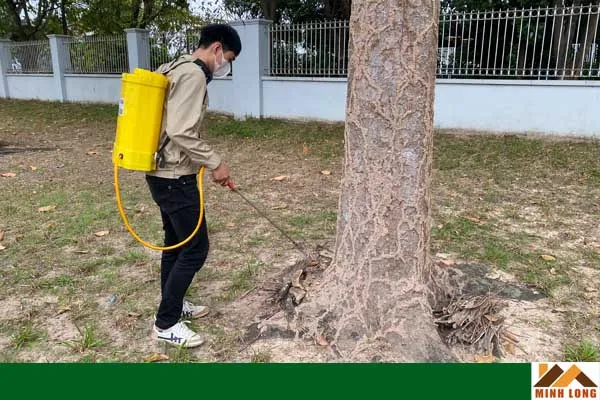 Cách Diệt Mối Cho Cây Trồng Bằng Thuốc Termize 200SC