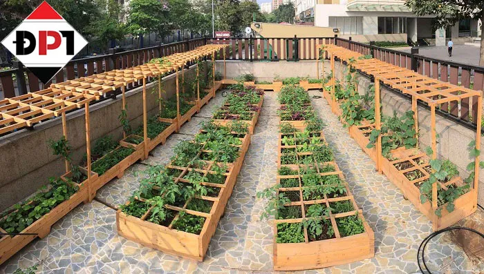 Bố trí chậu gỗ trồng cây ngăn nắp tạo cảm hứng chăm nuôi