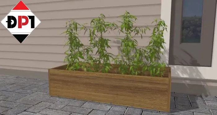 Tiến hành trồng cây với hỗn hợp đất và phân bón đã chuẩn bị