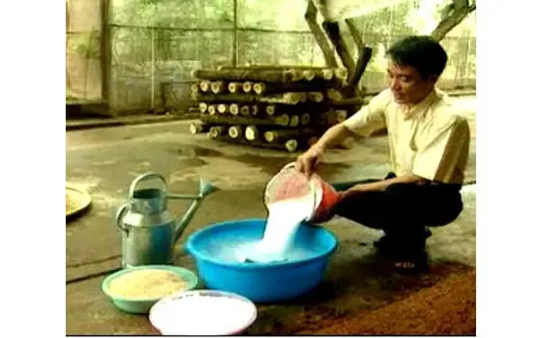 Mùn cưa và các thành phần phụ gia được phối trộn tạo thành phôi nấm