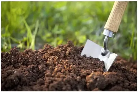 Lý Do Phải Làm Đất Tơi Xốp