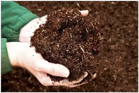 Làm Sao Cho Đất Luôn Mềm Tơi Xốp?