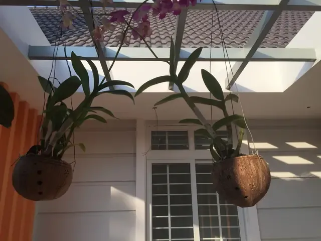 Các dụng cụ cần thiết để thực hiện cách làm gáo dừa trồng lan