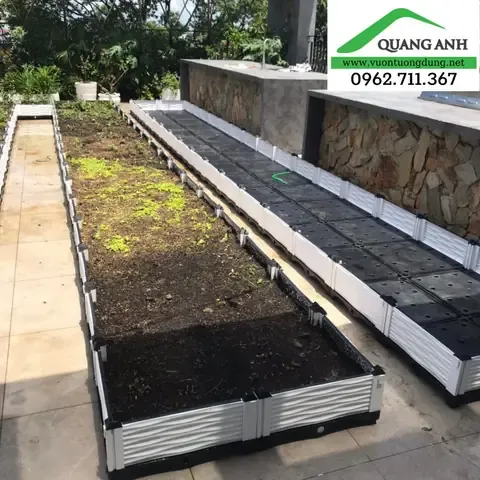 Chuẩn Bị Chậu Trồng Giàn Bầu Bí