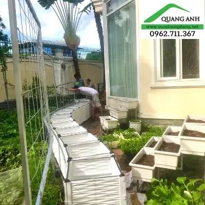 Trồng Và Chăm Sóc Cho Giàn Bầu, Bí