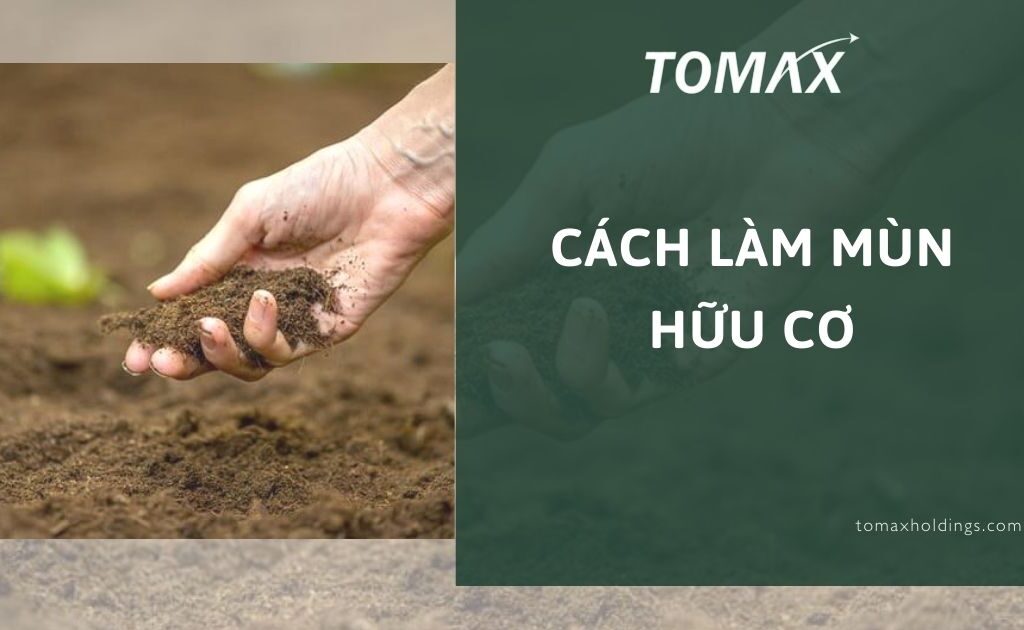 CÁCH Ủ MÙN CƯA ĐỂ TRỒNG RAU: Kỹ Thuật Tạo Phân Hữu Cơ Cao Cấp