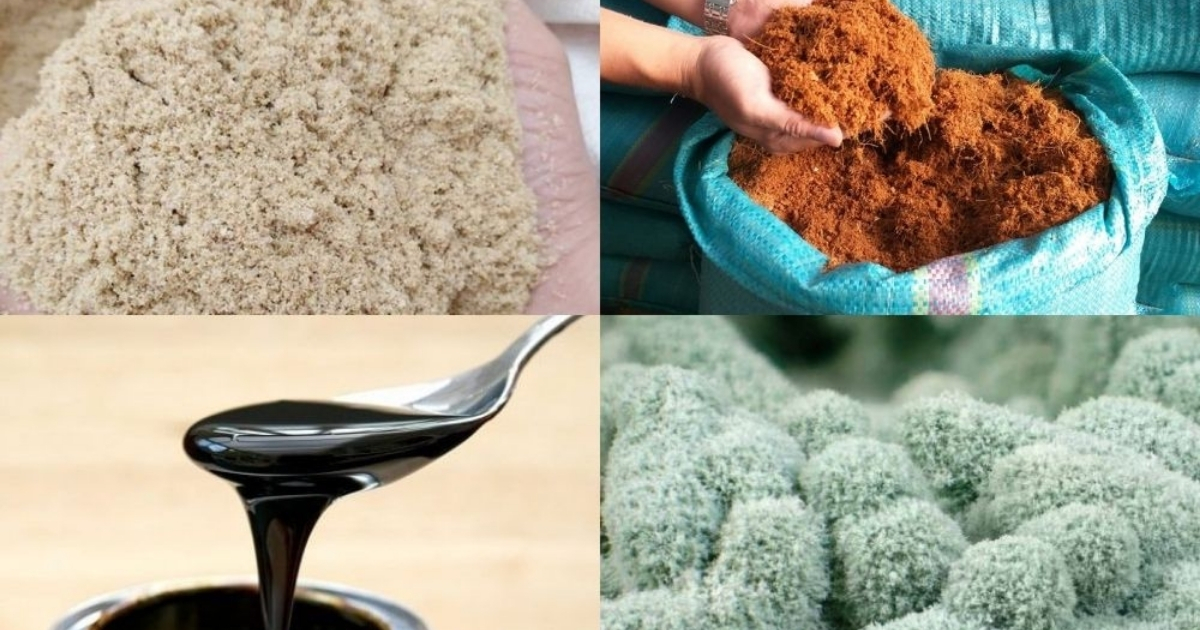 Cách Tái Chế Chai Nhựa Thành Chậu Trồng Rau Chi Tiết Từ A Đến Z