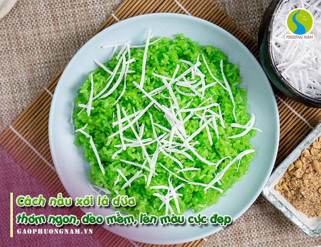 Cách Trồng Cây Lá Dứa Nếp Thơm Đậm, Dễ Dàng Tại Nhà