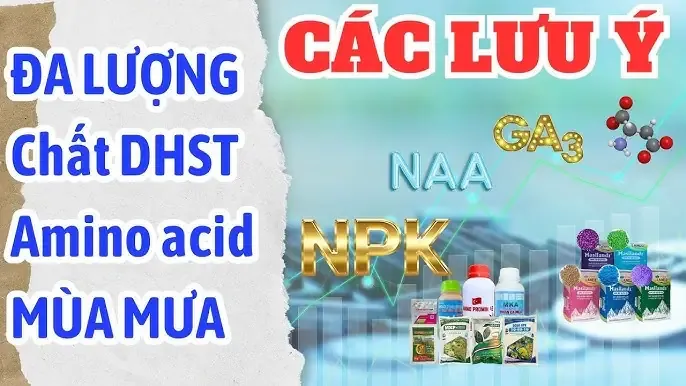 Tuân thủ đúng liều lượng NAA là chìa khóa để bảo vệ cây trồng khỏi ngộ độc.