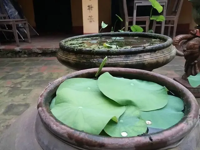 Cá»§a Thủy Sinh Trong Bùn Nhão: