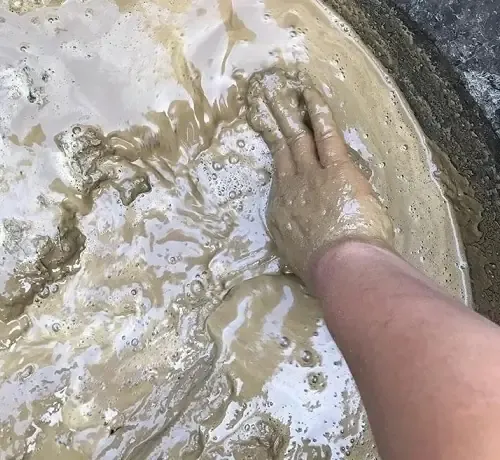 Bùn Có Sử Dụng Để Trá»“ng Cây Hoa Sen, Hoa Súng Được Không