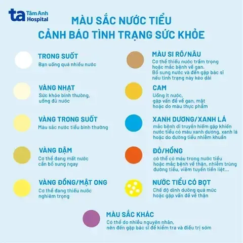 Chăm Sóc Chuối Yoga Để Tận Hưởng Không Gian Thiền Định Lý Tưởng