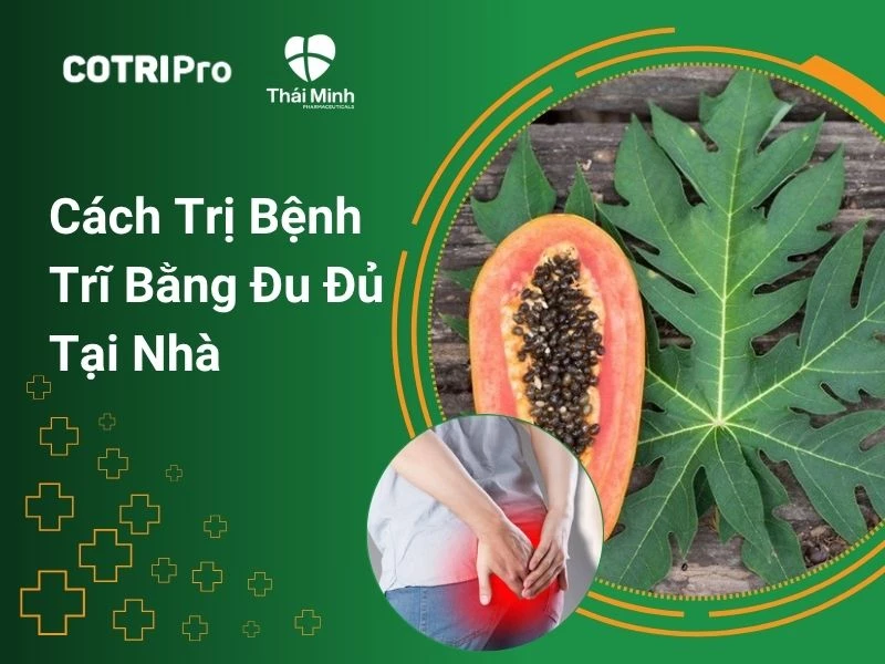 Cách Trồng Đu Đủ Đực Đạt Năng Suất Hoa Cao Nhất Cho Mục Đích Y Học