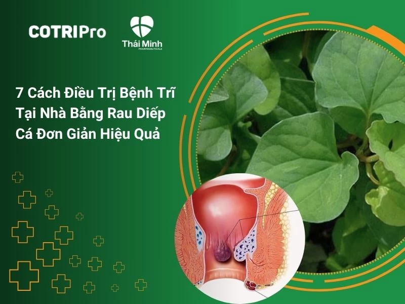Cách Trồng Rau Diếp Cá Tại Nhà: Hướng Dẫn Chi Tiết Từ A Đến Z Đạt Hiệu Quả Cao
