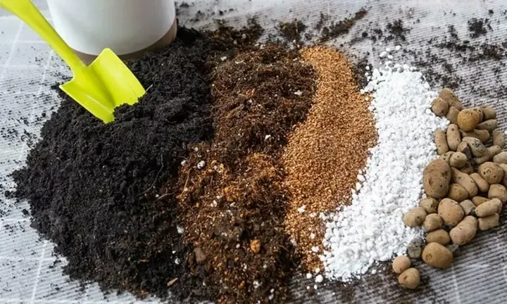 Cách Phối Trộn Giá Thể Trồng Lan Phù Hợp Với Từng Loai Lan