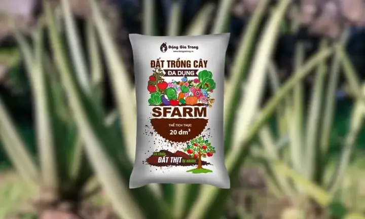 Chuẩn Bị Giá Thể/Đất Trồng Nha Đam