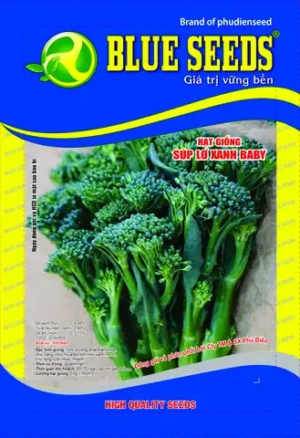 CÁCH TRỒNG CÂY CẦN TÂY TẠI NHÀ BẰNG GỐC: Hướng Dẫn Chi Tiết A-Z