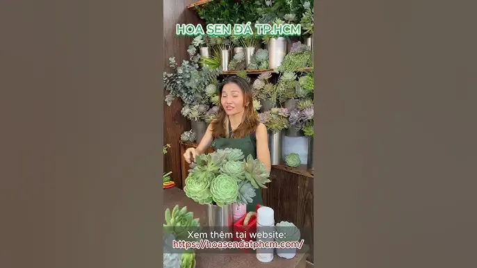 Cây Ngải Đen đang ra lá non khỏe mạnh