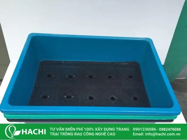 Sơ Đồ Tóm Tắt Các Bước Chuẩn Bị Trước Khi Trồng Cải Ngọt Bằng Gốc