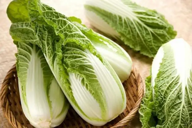 Cách Trồng Cải Thảo Tại Nhà Chi Tiết, Thu Hoạch Năng Suất Cao