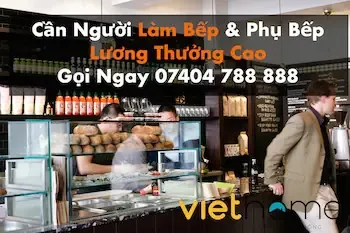 Hình ảnh minh họa cây cần sa và sự nghiêm cấm trồng cần sa ngoài trời