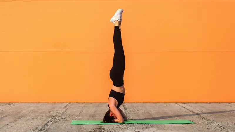 Đảm bảo khuỷu tay và đầu tạo thành một nền tảng tam giác chắc chắn cho tư thế trồng cây chuối trong yoga