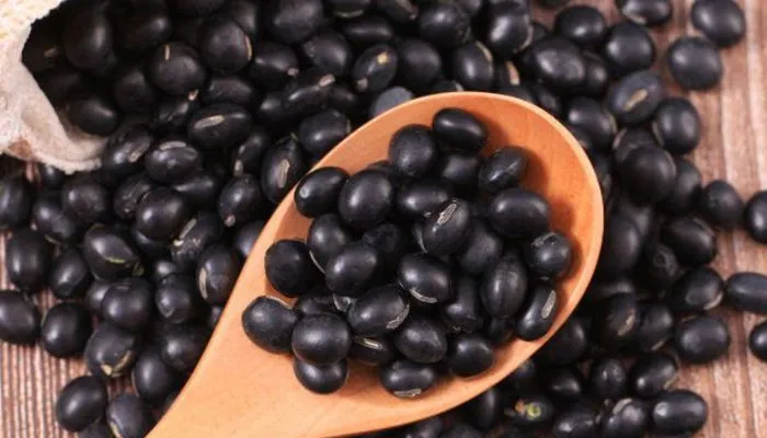 Thiết lập không gian trồng đậu đen xanh lòng trong chậu tại ban công hoặc sân vườn