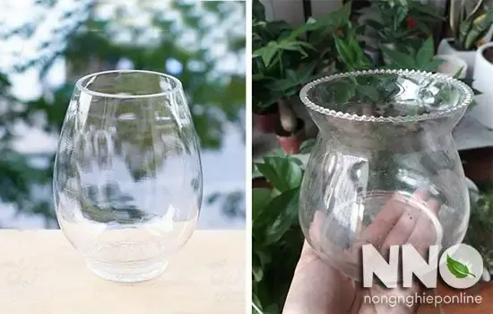 Bước 2: Chuẩn Bị Bình Thủy Sinh Và Dung Dịch Thủy Sinh