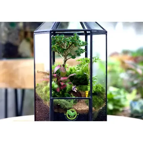 Các lớp vật liệu được sắp đặt tuần tự trong cách trồng cây terrarium