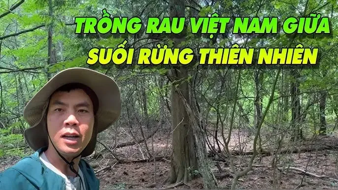 Khu vườn thảo dược được tối ưu ánh sáng cho cách trồng cây thuốc nam tại ban công