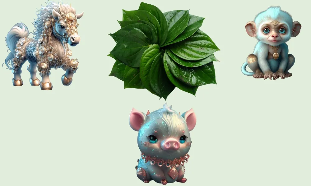 Cây trầu không hợp người tuổi Ngọ, Thân, Hợi theo phong thủy