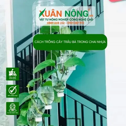 Tối Ưu Hóa Không Gian