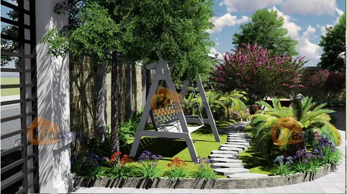 Hướng dẫn cách trồng cỏ nhung Nhật bằng hạt chi tiết cho sân vườn