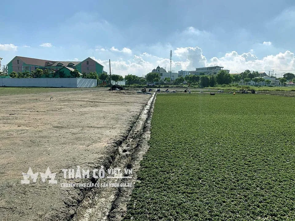 Chuẩn bị mặt bằng là một bước rất quan trọng không nên làm sơ sài, nó giúp thảm cỏ phát triển đều và đẹp, đồng thời tạo hình dáng thảm cỏ mà mình mong muốn sau này