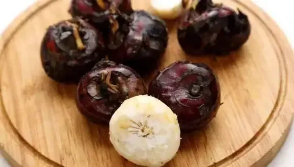 Hình ảnh minh họa cây mã thầy đang phát triển trong điều kiện ngập nước